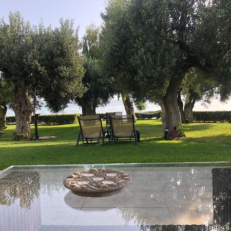 ניאה סקיוני Villa Anemi מראה חיצוני תמונה