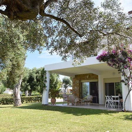 ניאה סקיוני Villa Anemi מראה חיצוני תמונה