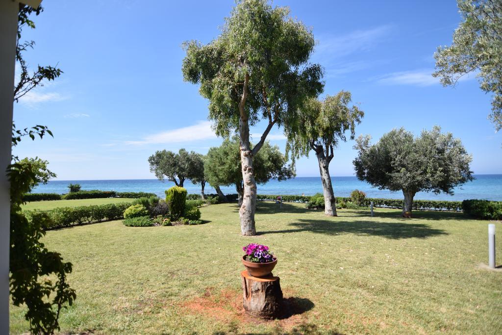 ניאה סקיוני Villa Anemi מראה חיצוני תמונה