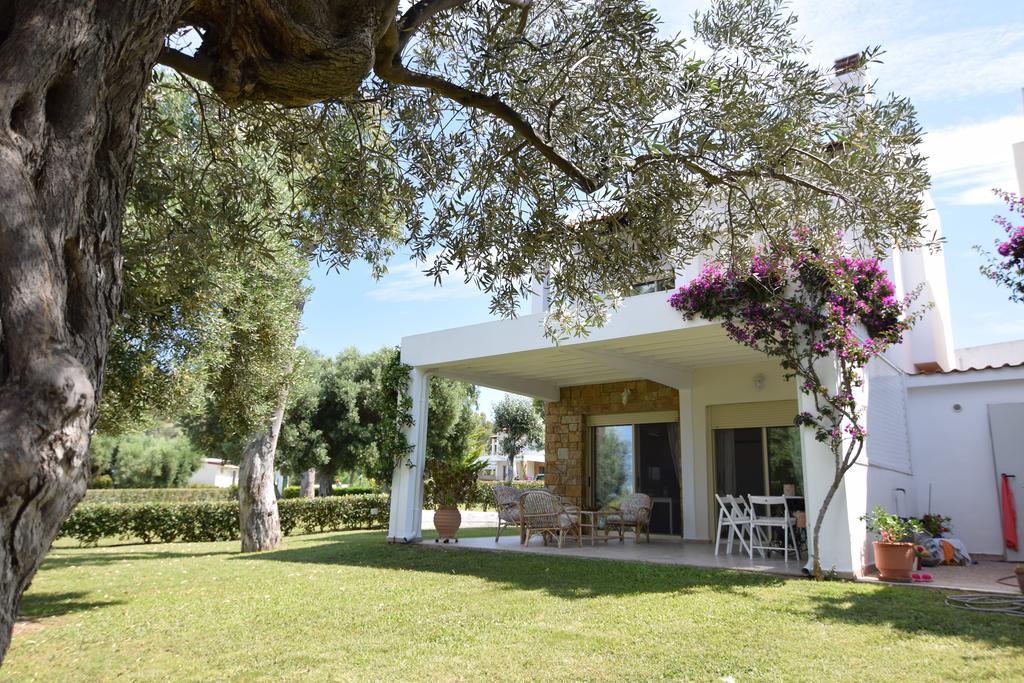 ניאה סקיוני Villa Anemi מראה חיצוני תמונה