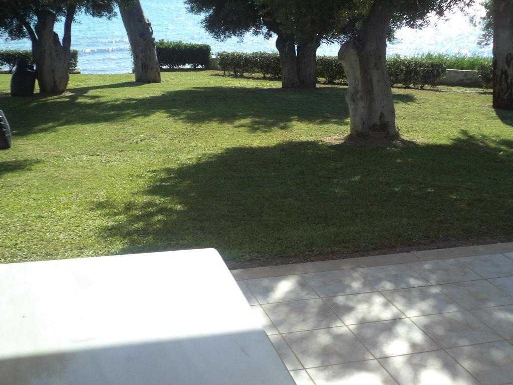 ניאה סקיוני Villa Anemi מראה חיצוני תמונה